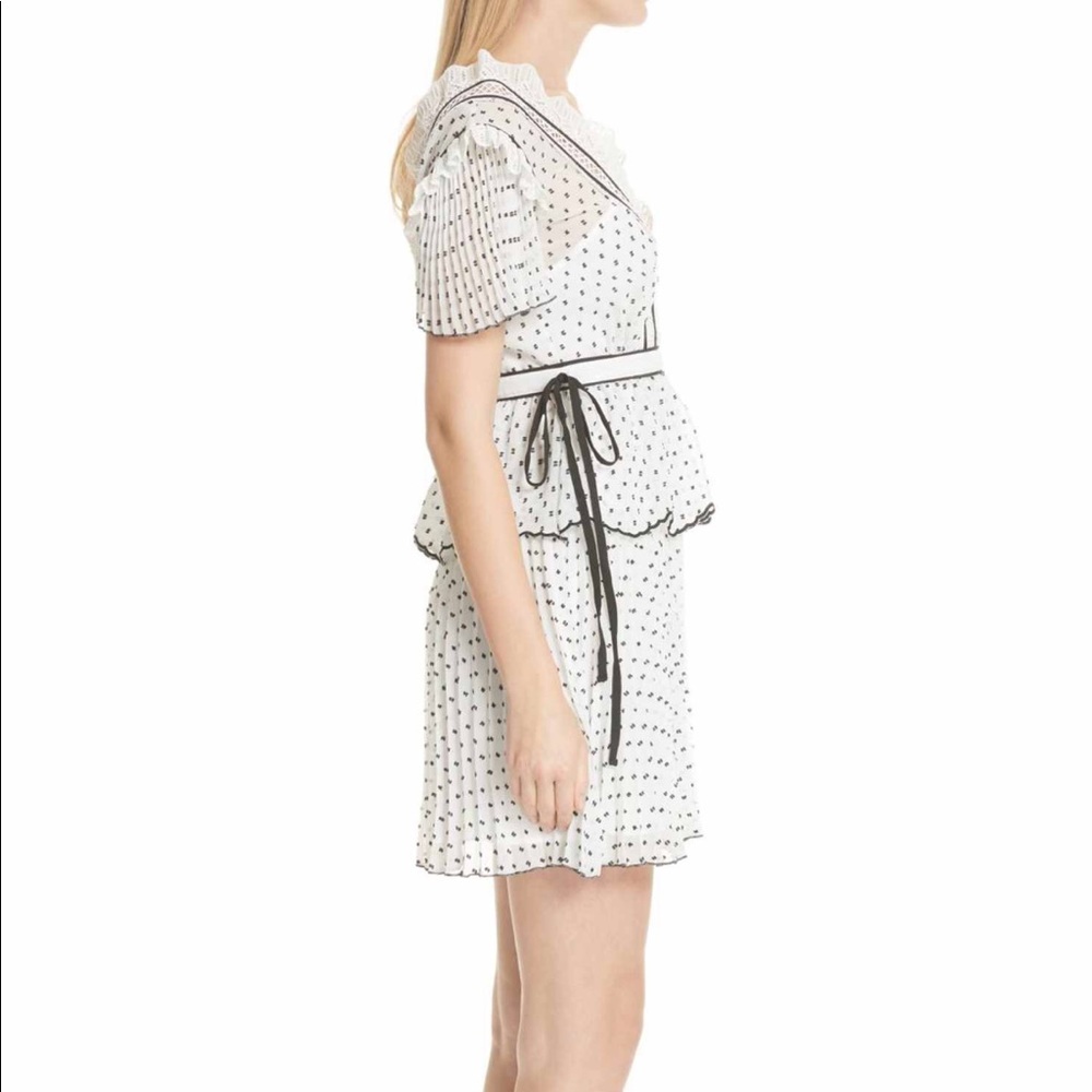 Self Portrait Plumetis ruffle dress - Picture 3 of 3